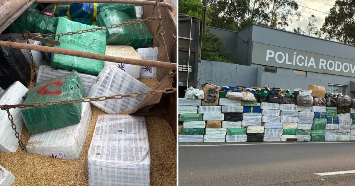 Fiscalização em Pirapozinho encontra droga escondida entre aveia em caminhão
