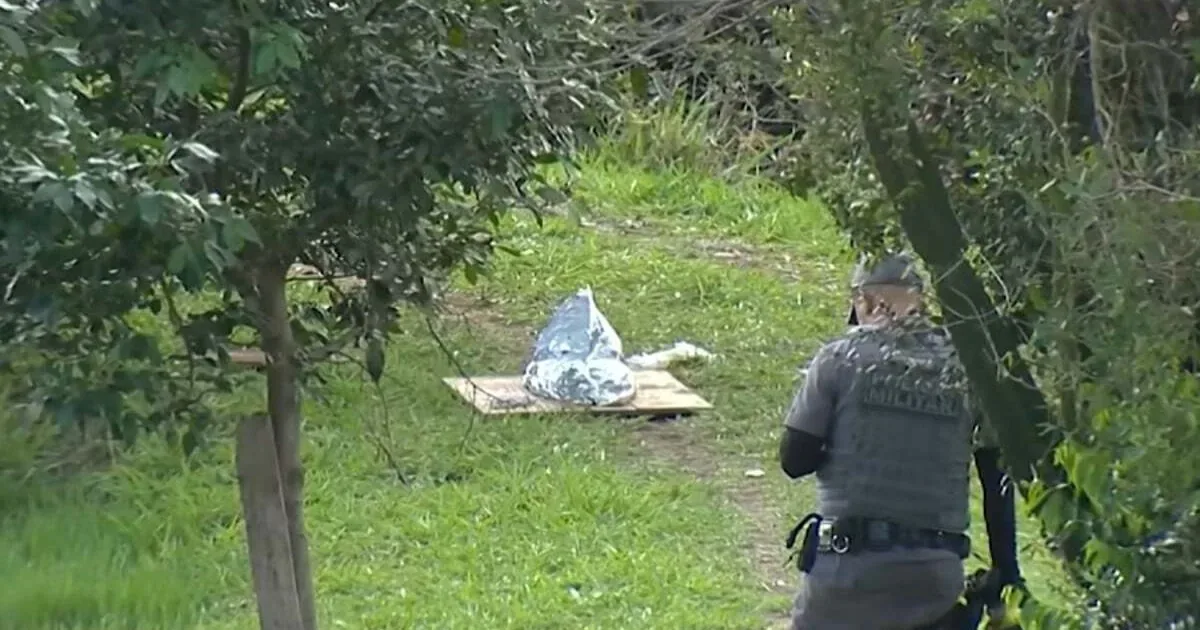 Bebê morre após ser lançada em represa; mãe é presa em Presidente Prudente