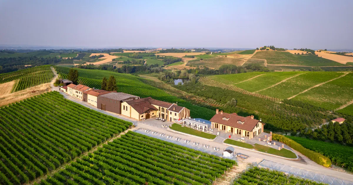 Montalbera prepara colheita noturna de Ruchè e Viognier no Piemonte