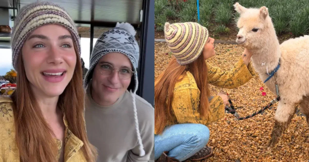 Bruno Gagliasso surpreende Giovanna Ewbank com alpaca no aniversário