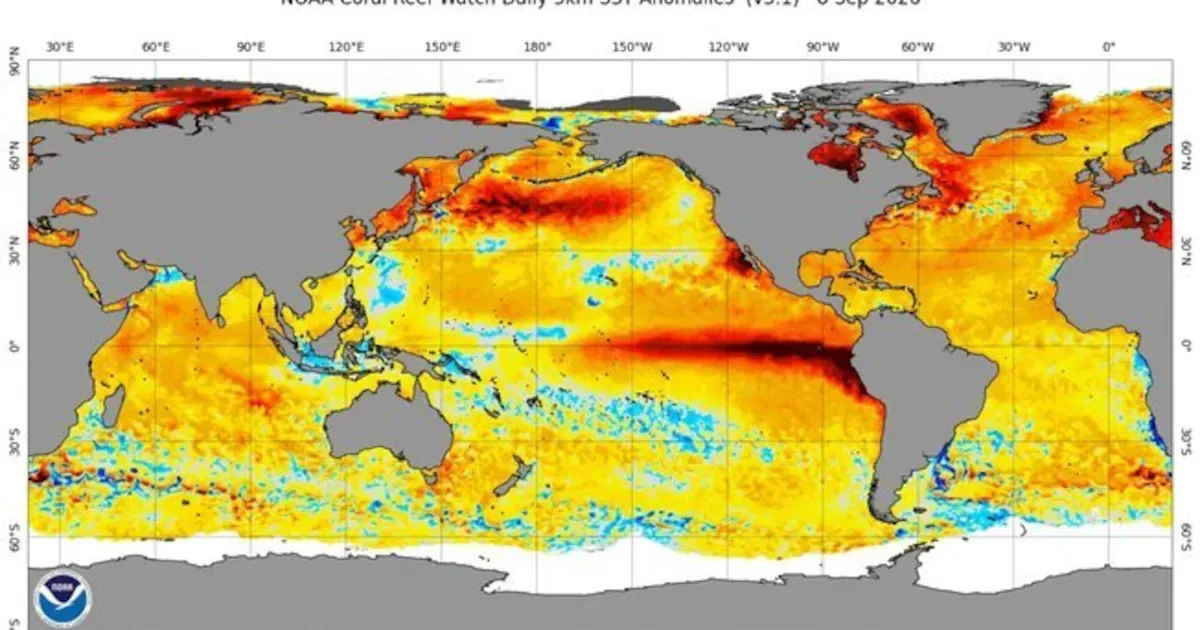 El Niño pode alcançar nível histórico entre novembro e dezembro de 2026