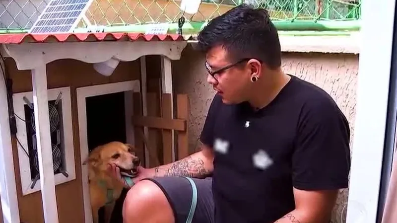 Cadela ganha casinha com ventilador solar para aliviar calor em Manaus