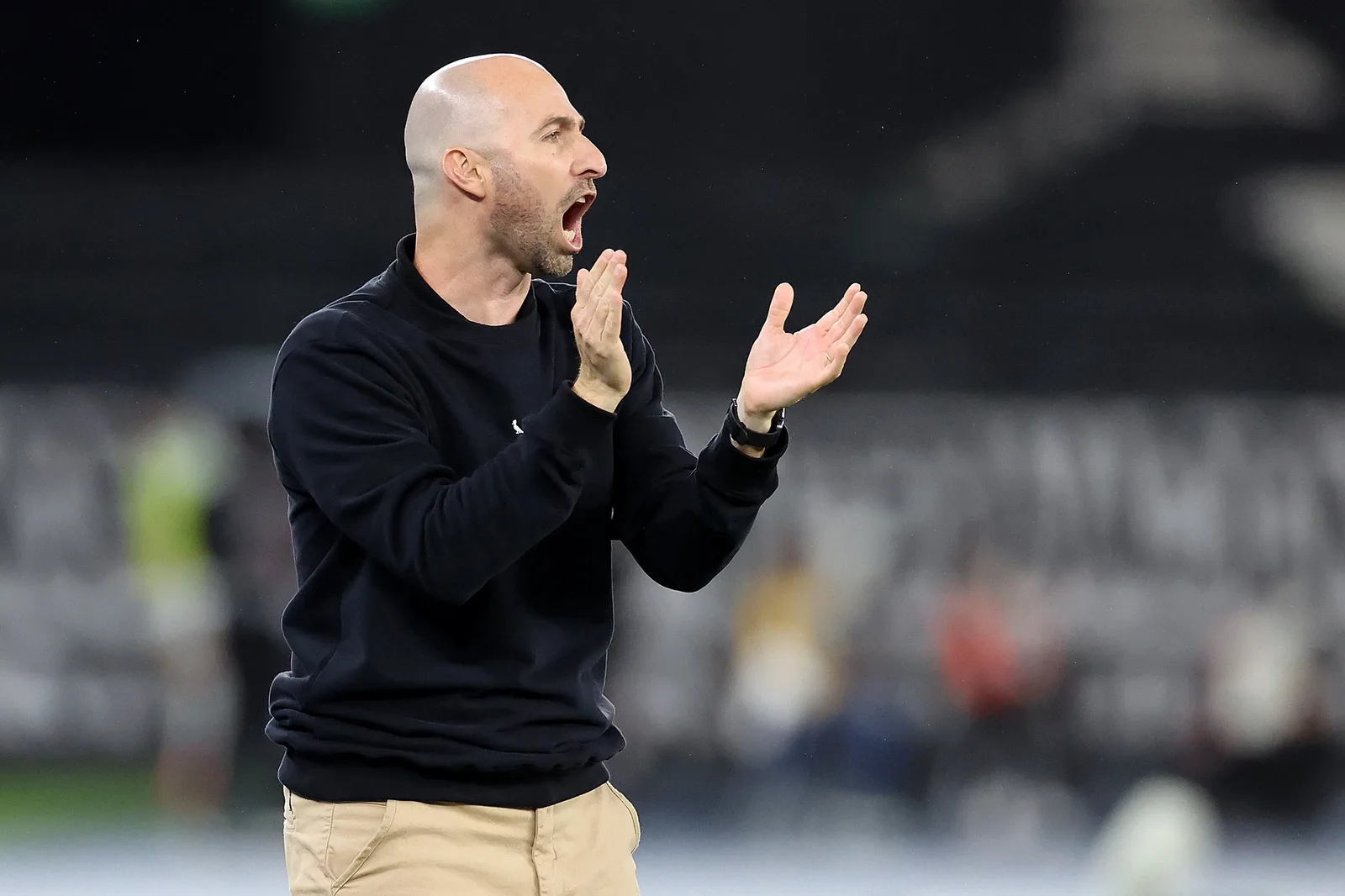 Botafogo empata com o Palmeiras e Bellão cobra resultado da evolução