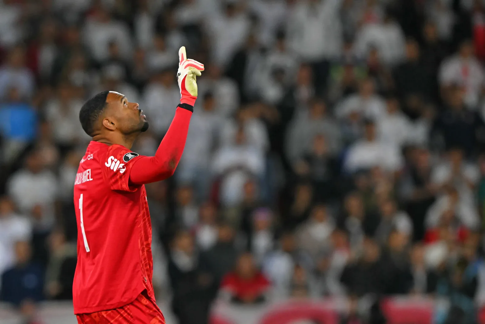 Carlos Miguel defende dois pênaltis e leva Palmeiras à semifinal da Libertadores