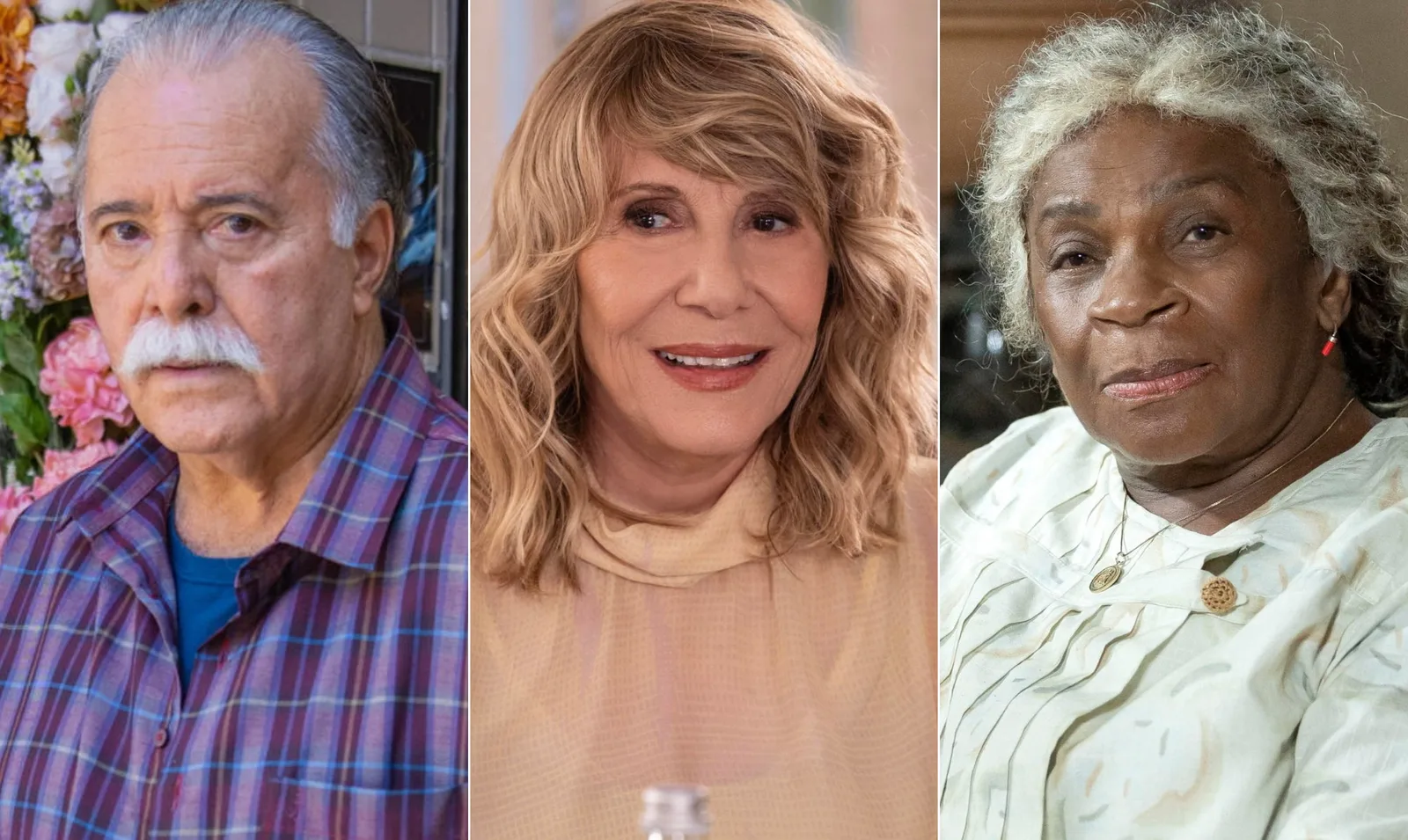 Veteranos com mais de 70 anos seguem no elenco das novelas da Globo