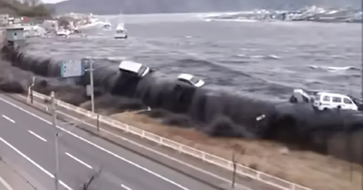 Tsunami de Fukushima provocou cruzamento entre peixes no Japão
