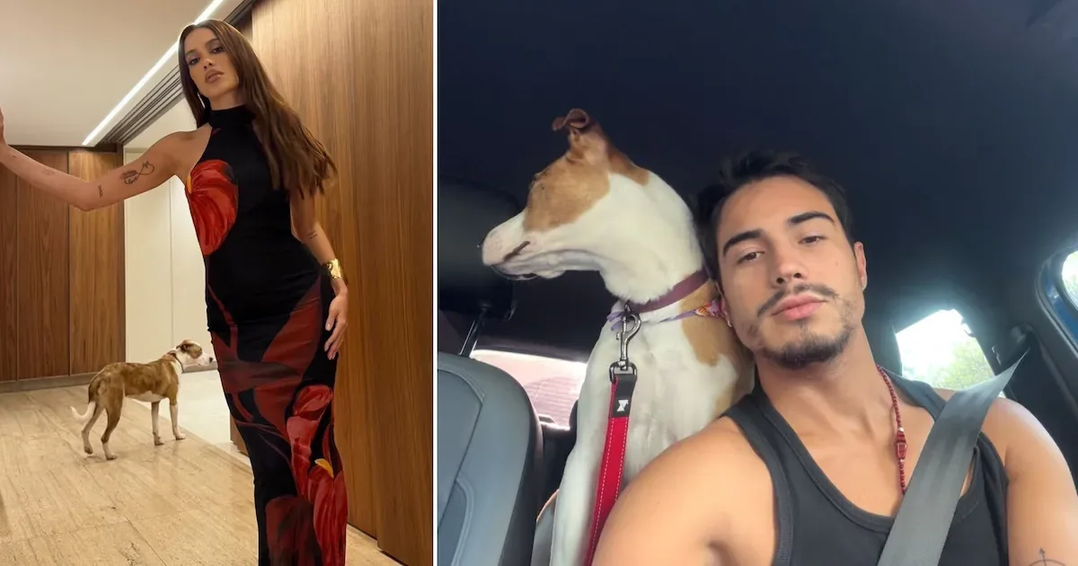 Anitta e Danilo Mesquita aproximam rotinas e compartilham convivência com pets