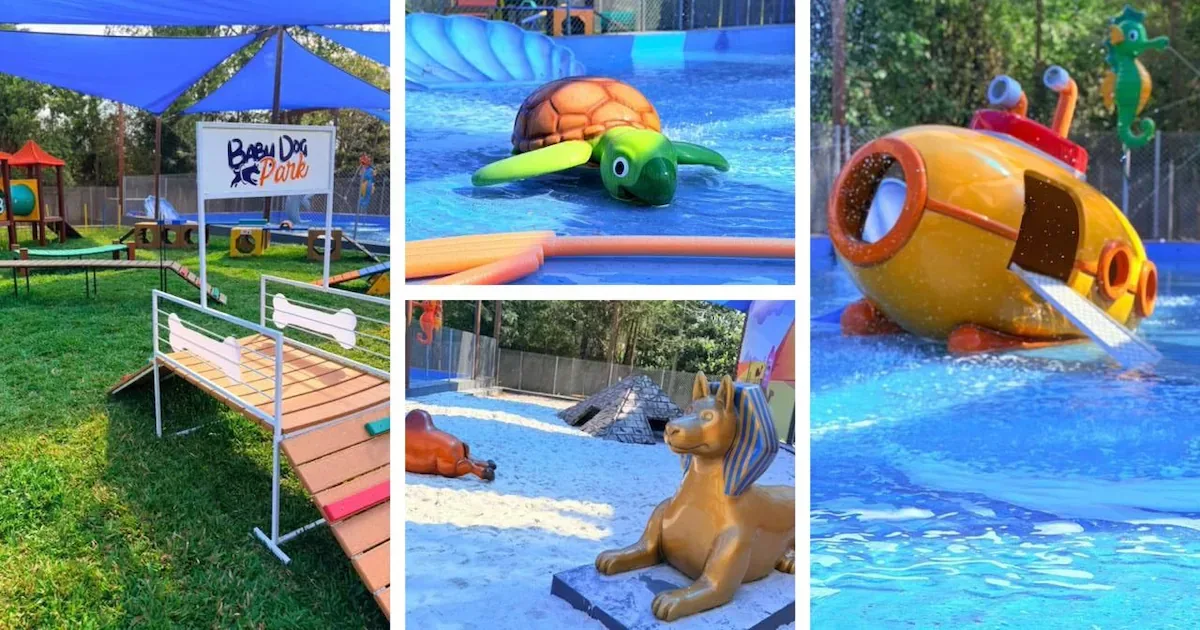 Cachorrândia abre em São Paulo com parque aquático e restaurante para cães