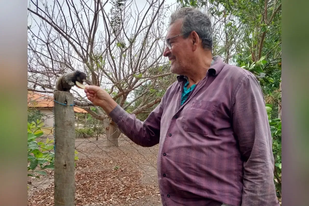 Saguis criam rotina de visitas a chácara durante a estiagem em Goiás