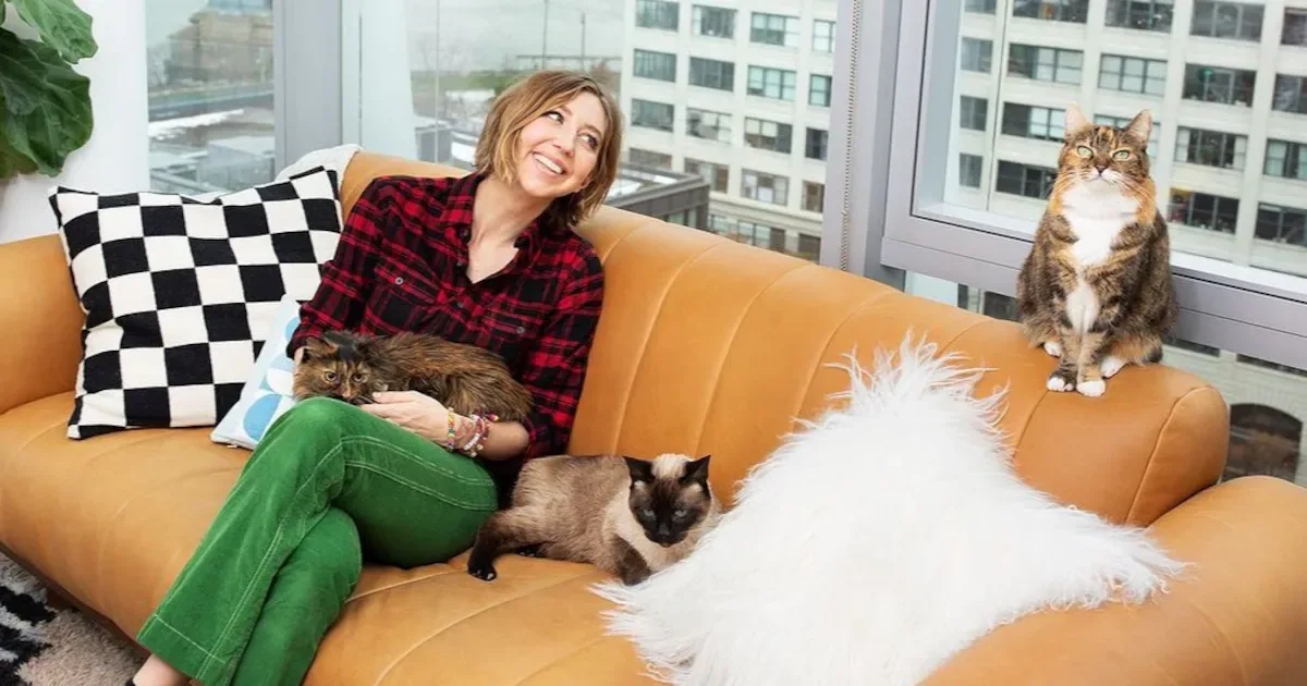 Heidi Gardner leva gatos a sessões semanais de relaxamento com sons