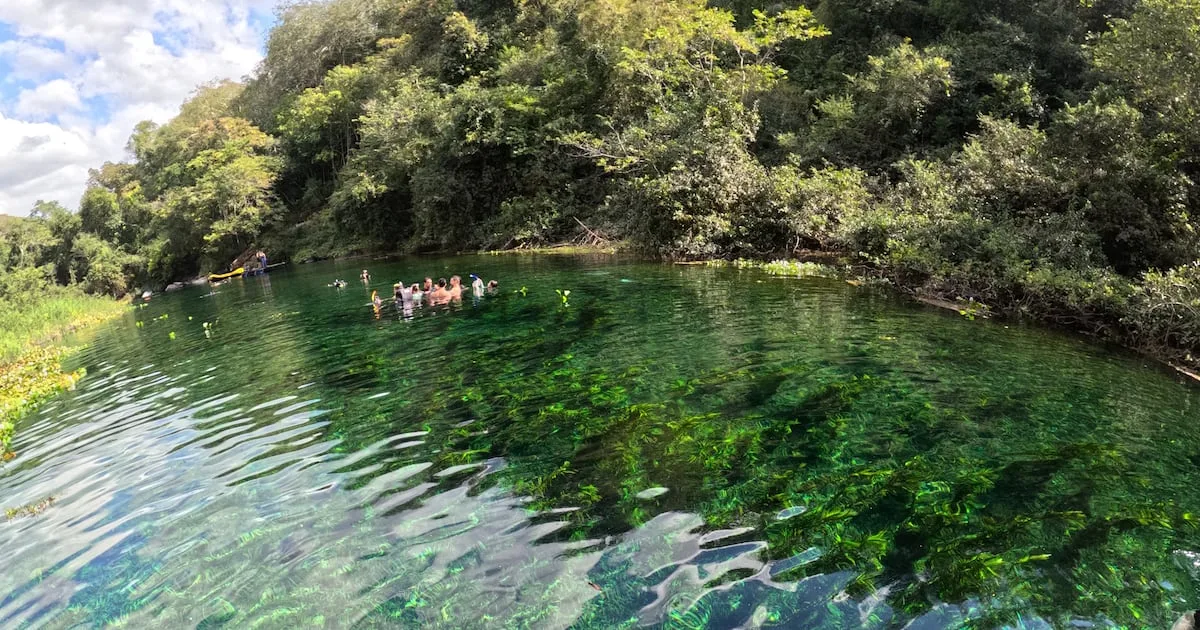 Rio Azul oferece flutuação em águas cristalinas perto de Bonito